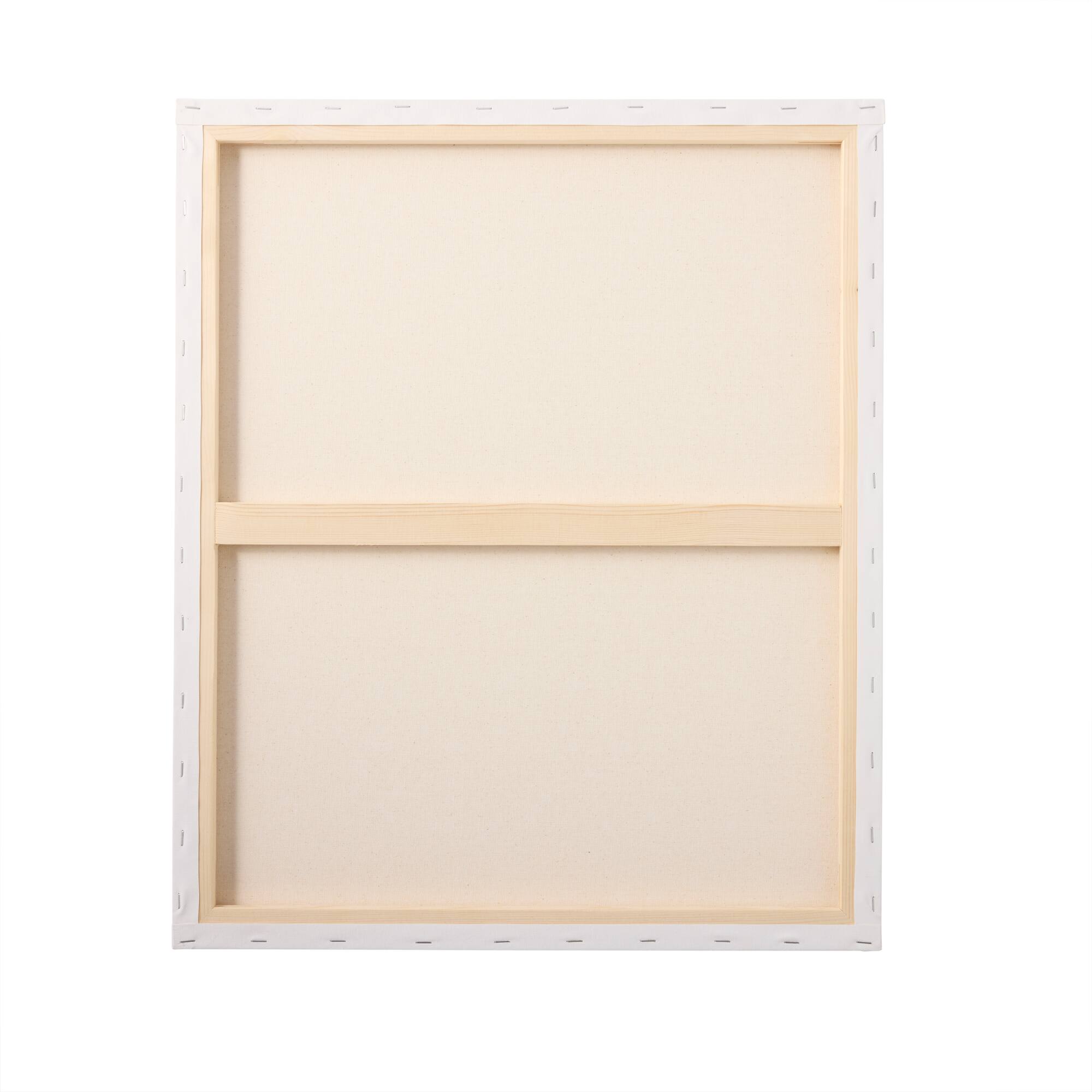 3 Pack 20" x 24" Super Value Canvas by Artist's Loft®